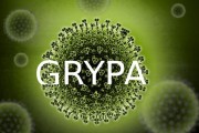 Grypa